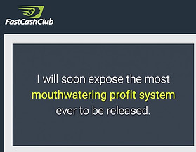 profit system